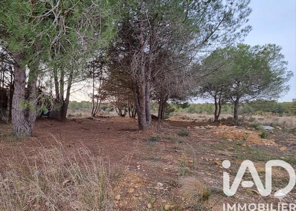 Terrain à vendre 700 m² Sérignan