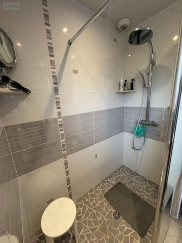 Maison à vendre à Arcis-sur-Aube dans l'Aube (10700), ref : 15309/386