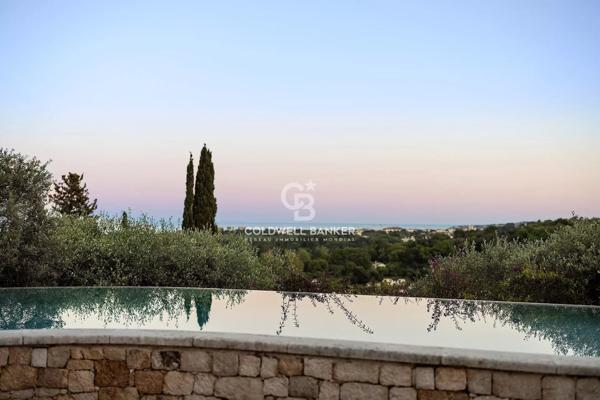 Villa 12 pièces à vendre Valbonne - 06560 / Réf: Helena