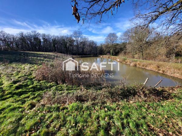Terrain de Loisir avec étang