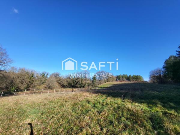 Terrain de Loisir avec étang