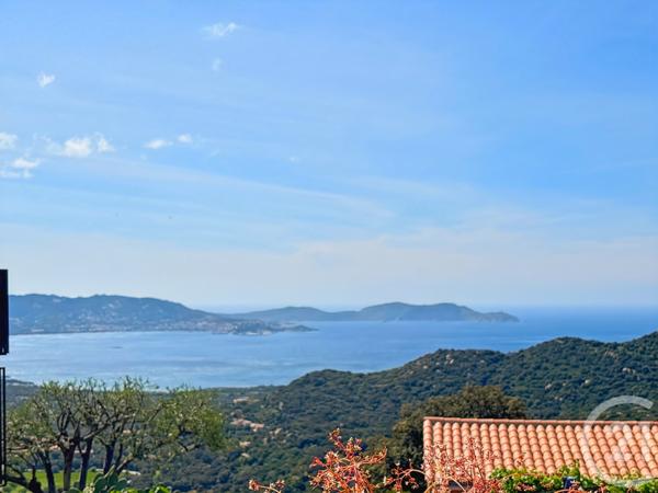 Maison à vendre  7 pièces - 187 m2 LUMIO - 202