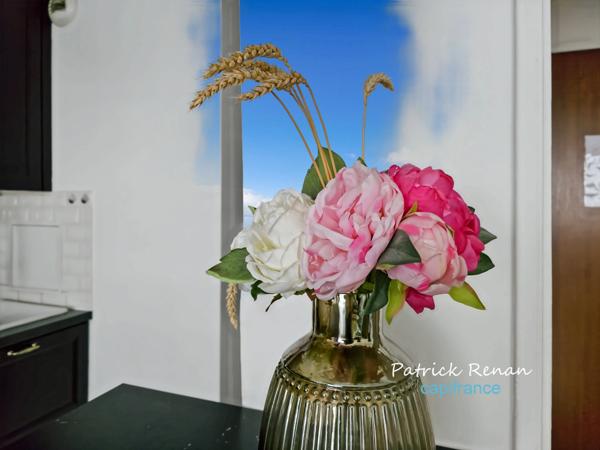 Appartement à vendre 2 pièces T2 PUTEAUX (92)