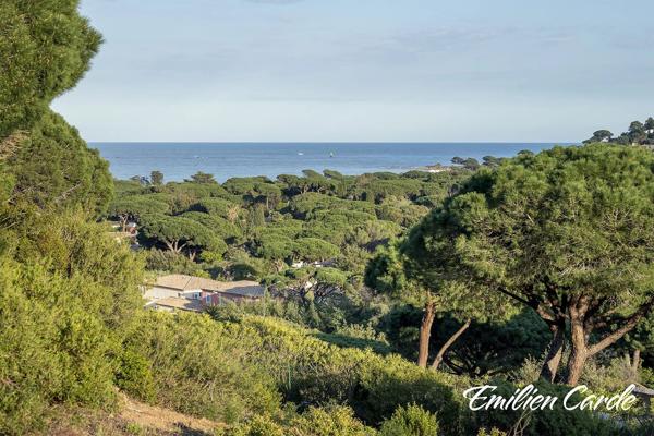 Terrain constructible à Sainte-Maxime