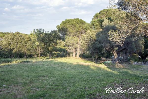 Terrain constructible à Sainte-Maxime