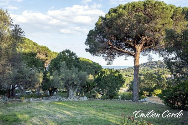 Terrain constructible à Sainte-Maxime