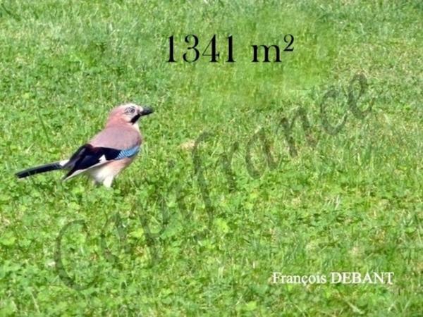 Terrain à vendre proche de BETHENIVILLE (51)