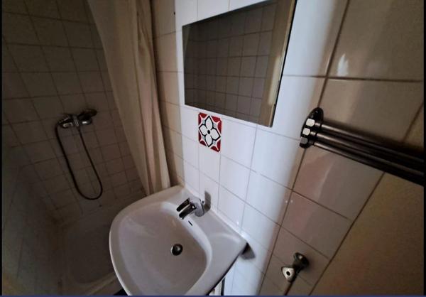 Appartement à louer à Vienne (38200)