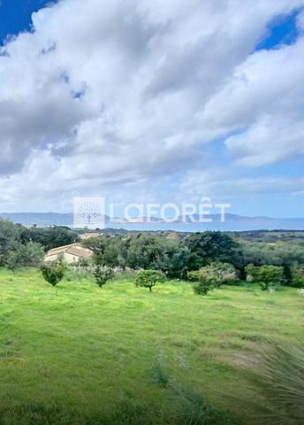 Achat terrain Calvi - 2000 m² - 635 000 €