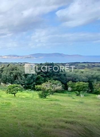 Achat terrain Calvi - 2000 m² - 635 000 €