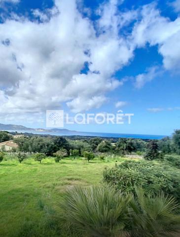 Achat terrain Calvi - 2000 m² - 635 000 €