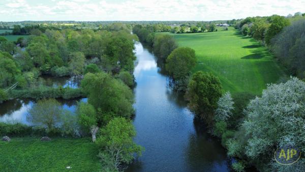 Vente terrain Segre : 39 000 € - AJP Immobilier Segré