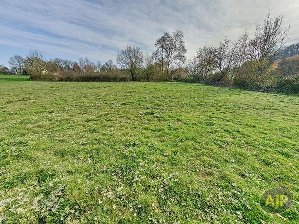 Vente terrain Segre : 39 000 € - AJP Immobilier Segré