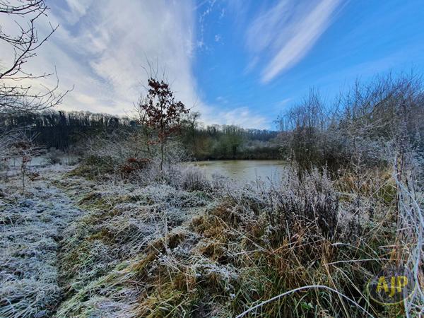 Vente terrain Segre : 39 000 € - AJP Immobilier Segré