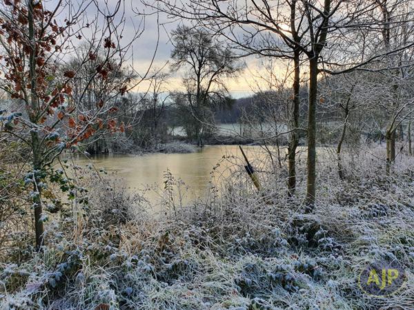 Vente terrain Segre : 39 000 € - AJP Immobilier Segré