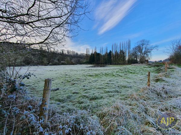 Vente terrain Segre : 39 000 € - AJP Immobilier Segré