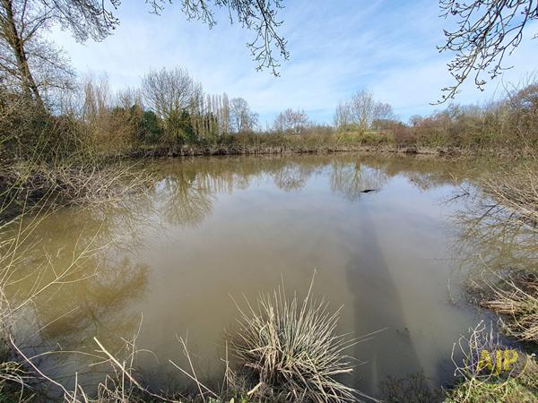 Vente terrain Segre : 39 000 € - AJP Immobilier Segré