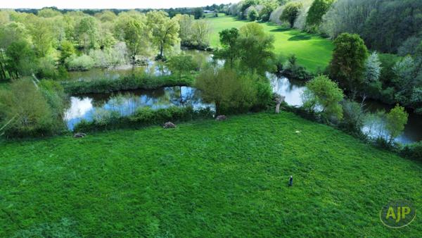 Vente terrain Segre : 39 000 € - AJP Immobilier Segré