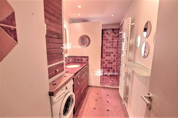 Appartement sur les toits + terrasse + parking+ garage