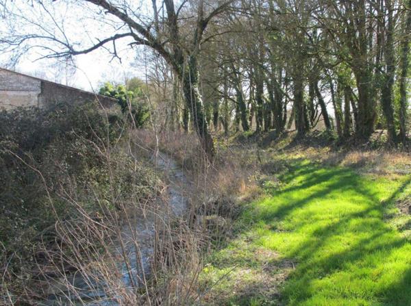 CHARENTAISE DU 19EME DE 166M² - 6 PIECES - DÉPENDANCES DE 600m²