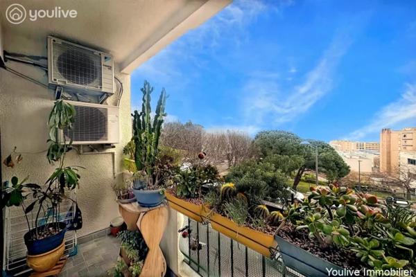 Appartement T3 entièrement rénové – Quartier Sud de Bastia