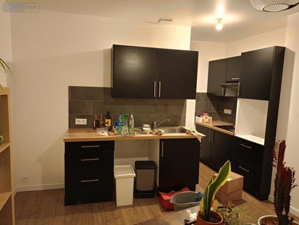 Appartement à louer à Vernou-sur-Brenne dans l'Indre-et-Loire (37210), ref : 37007-L414