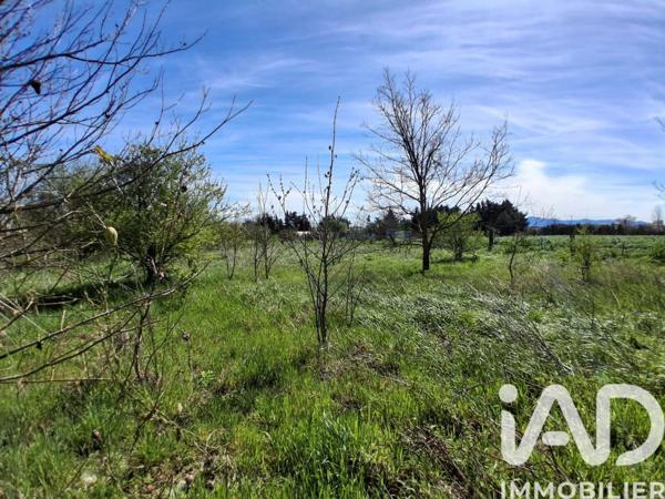 Terrain à vendre 4 000 m² Canet-en-Roussillon
