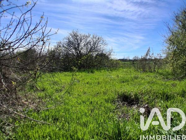 Terrain à vendre 4 000 m² Canet-en-Roussillon