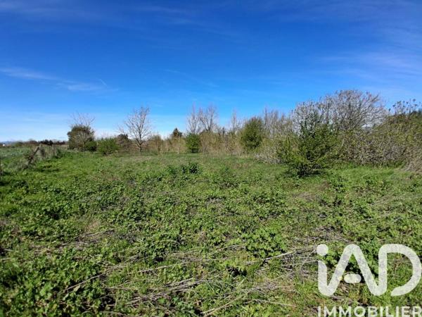 Terrain à vendre 4 000 m² Canet-en-Roussillon