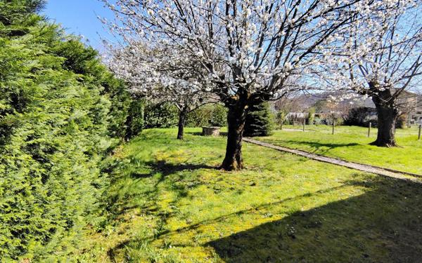 Maison à vendre    6 pièces •  Terrasson-Lavilledieu