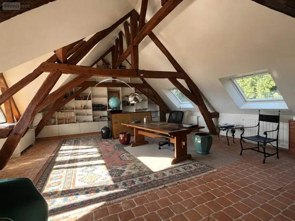 Achat - Propriété Tours 37000 11 pièces 459 m 2 21900 m 2