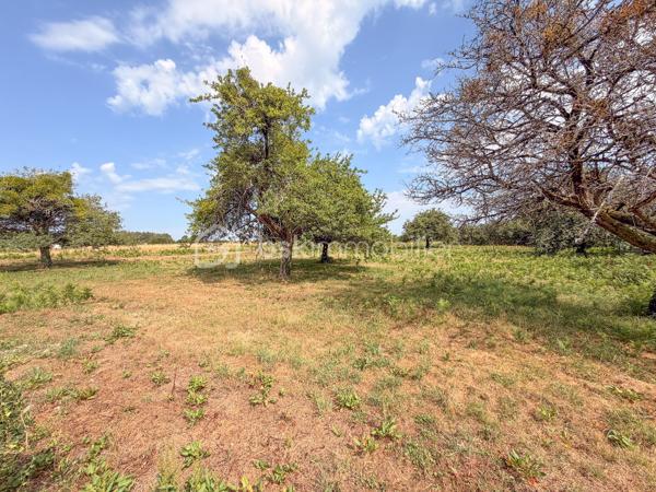 LANDEVANT – Nouveauté BSK Immobilier

Laissez-vous séduire par cette belle propriété, parfaitement entretenue, située dans un environnement calme et verdoyant.

La maison offre 141 m² habitables (environ 155 m² avec la dépendance et la chaufferie) répartis sur 3 niveaux, comprenant :

Une vaste pièce de vie lumineuse d'environ 45 m² avec cuisine aménagée et équipée, ouverte sur le séjour.
5 chambres, réparties sur les trois niveaux, offrant de nombreuses possibilités pour une famille ou le télétravail.
Une salle d'eau et une salle de bains.
De nombreux espaces de rangement.

À l'extérieur, vous profiterez d'un véritable espace de détente avec :

Une terrasse équipée d'une pergola bioclimatique.
Une piscine chauffée de 10 x 5 m avec volet roulant électrique.
Un carport d'environ 20 m².

L'ensemble est implanté sur un terrain d'environ 2 hectares, non constructible, offrant un cadre naturel exceptionnel, idéal pour les amoureux de la nature et les propriétaires d'animaux.

Les atouts de cette propriété :

Environnement paisible et sans vis-à-vis.
Maison parfaitement entretenue, aucun gros travaux à prévoir.
Grand terrain, idéal pour chevaux, chiens ou autres animaux.
Prestations de qualité et cadre de vie privilégié.
Un véritable coup de cœur à découvrir sans tarder !