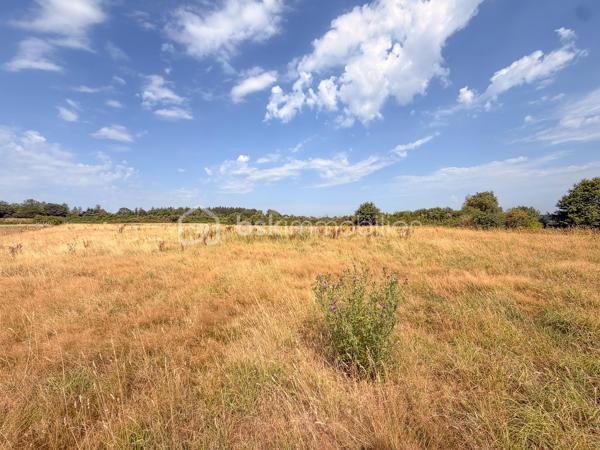 LANDEVANT – Nouveauté BSK Immobilier

Laissez-vous séduire par cette belle propriété, parfaitement entretenue, située dans un environnement calme et verdoyant.

La maison offre 141 m² habitables (environ 155 m² avec la dépendance et la chaufferie) répartis sur 3 niveaux, comprenant :

Une vaste pièce de vie lumineuse d'environ 45 m² avec cuisine aménagée et équipée, ouverte sur le séjour.
5 chambres, réparties sur les trois niveaux, offrant de nombreuses possibilités pour une famille ou le télétravail.
Une salle d'eau et une salle de bains.
De nombreux espaces de rangement.

À l'extérieur, vous profiterez d'un véritable espace de détente avec :

Une terrasse équipée d'une pergola bioclimatique.
Une piscine chauffée de 10 x 5 m avec volet roulant électrique.
Un carport d'environ 20 m².

L'ensemble est implanté sur un terrain d'environ 2 hectares, non constructible, offrant un cadre naturel exceptionnel, idéal pour les amoureux de la nature et les propriétaires d'animaux.

Les atouts de cette propriété :

Environnement paisible et sans vis-à-vis.
Maison parfaitement entretenue, aucun gros travaux à prévoir.
Grand terrain, idéal pour chevaux, chiens ou autres animaux.
Prestations de qualité et cadre de vie privilégié.
Un véritable coup de cœur à découvrir sans tarder !