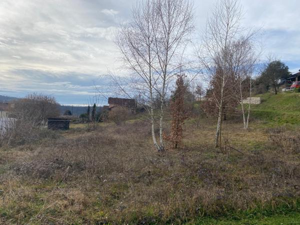 Grande parcelle exposé sud