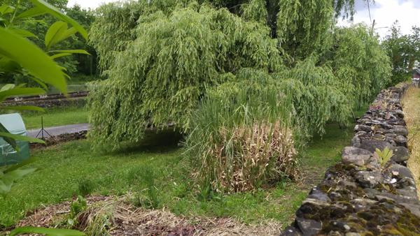 À vendre - Maison traditionnelle, 3 pièces située à Oloron-Sainte-Marie (64400)