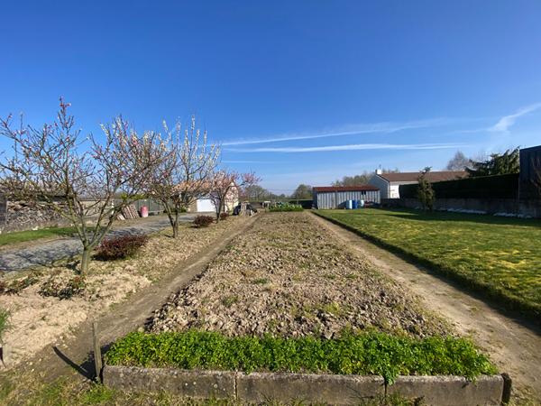 Terrain La Chevrolière 600 m2