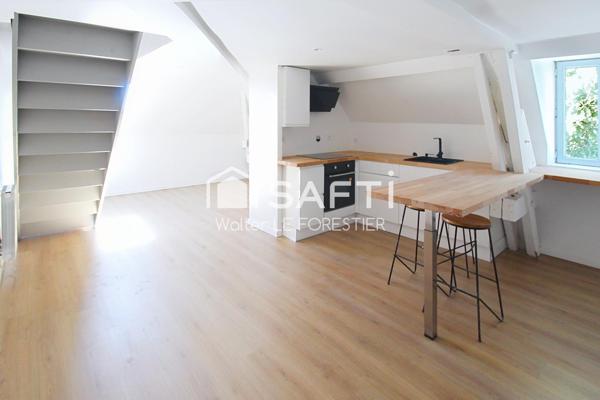 CHATEAU AVEC PLUSIEURS APPARTEMENTS REFAIT A NEUF DE 119 000 à 199 000 euros