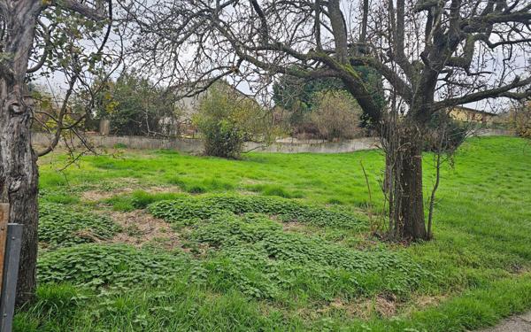 Terrain à vendre    Le Chambon-Feugerolles