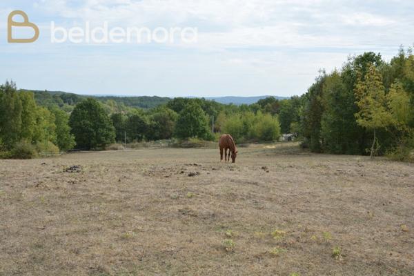 Fumel (47500) Maison rénovée avec gîte, dépendances et piscine
