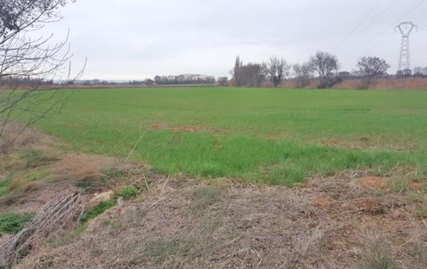 Vente Terrain Agricole Narbonne   