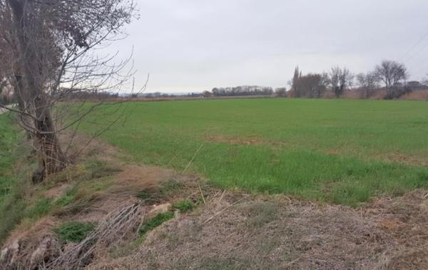 Vente Terrain Agricole Narbonne   
