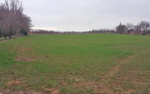 Vente Terrain Agricole Narbonne   