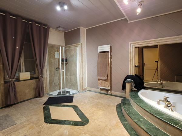 A vendre maison de maître - 16 pièces, 10 chambres, piscine