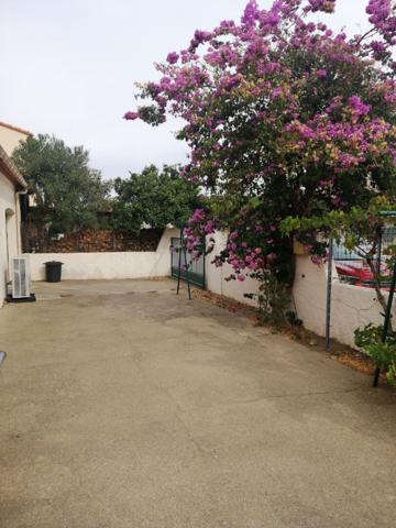 Maison Argeles Plage 4 pièce(s)