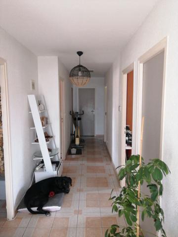 Maison Argeles Plage 4 pièce(s)