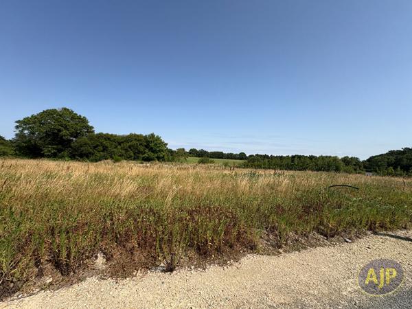 Vente terrain Apremont : 61 000 € - AJP Immobilier Challans