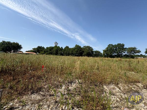 Vente terrain Apremont : 61 000 € - AJP Immobilier Challans