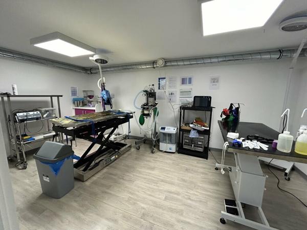 BUREAUX à LOUER de 448.35 m²