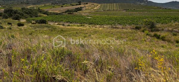 Terrain agricole de 4 685 m²