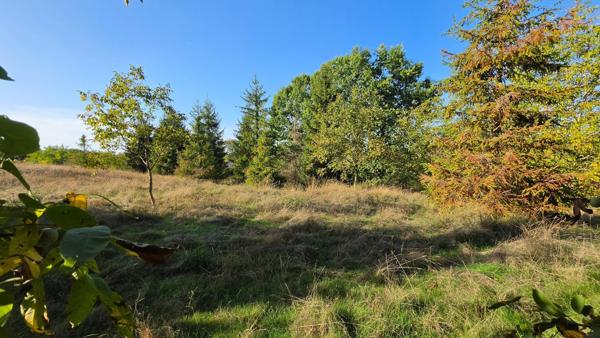 TERRAIN CLOS